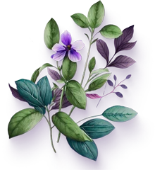 Preventative Health Management