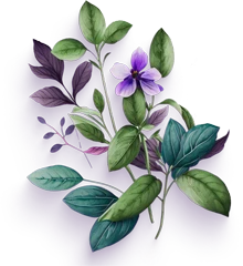 Preventative Health Management